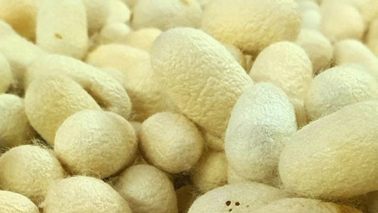 Những Dòng Tơ Huyền Thoại